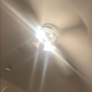 Meet your Posher, Jayden